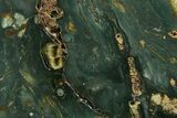 Free-Standing, Gary Green Jasper (Larsonite) Bog Wood - Oregon #334829-2